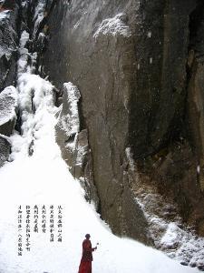 拯救小松鼠