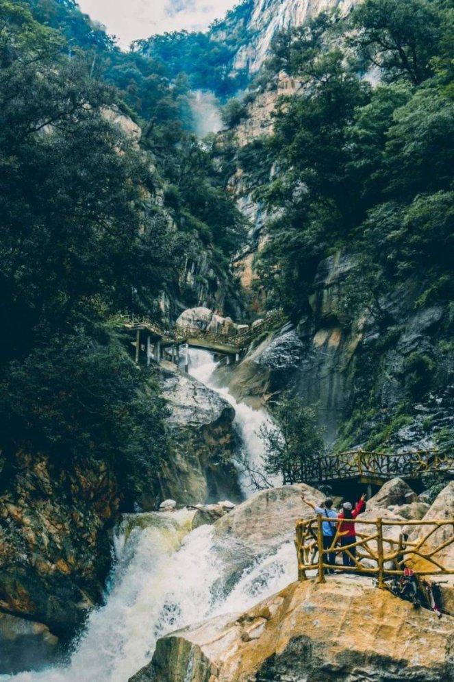 迷雾求生